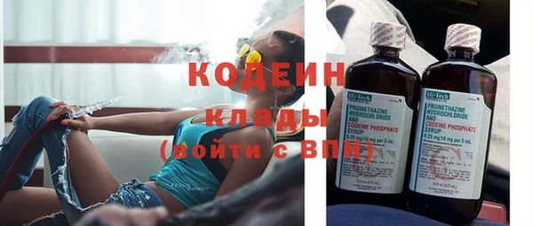 эйфоретик Вяземский