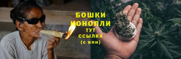 таблы Гусев
