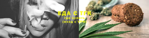 шишки Гусиноозёрск