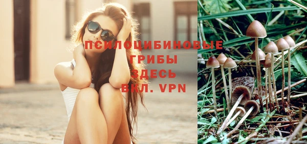 эйфоретик Вяземский