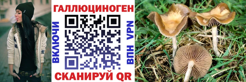 продажа наркотиков  Дедовск  Галлюциногенные грибы ЛСД 